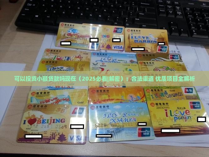 可以投资小额贷款吗现在