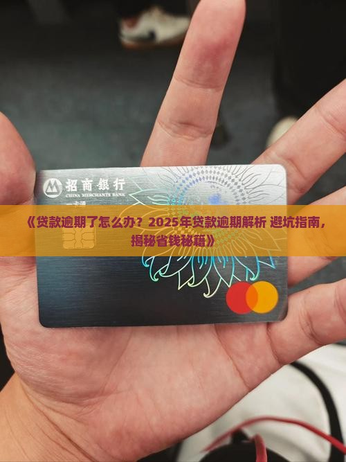 如何面对各种贷款逾期