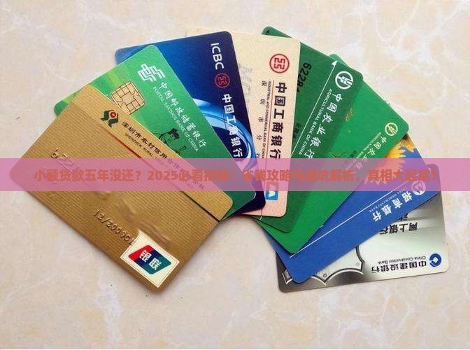 小额贷款五年没还