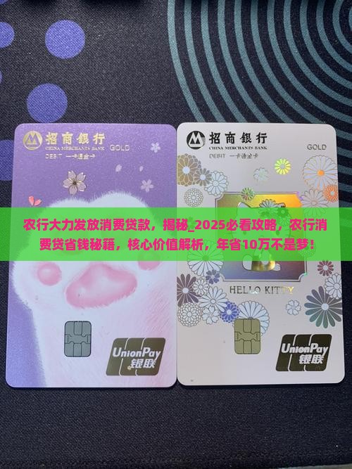 农行大力发放消费贷款