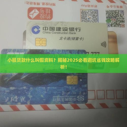 小额贷款什么叫假资料