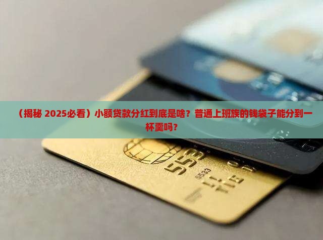 小额贷款分红是什么