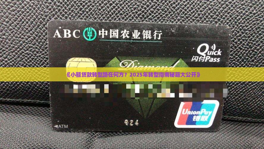 小额贷款转型发展