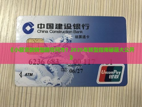 小额贷款转型发展