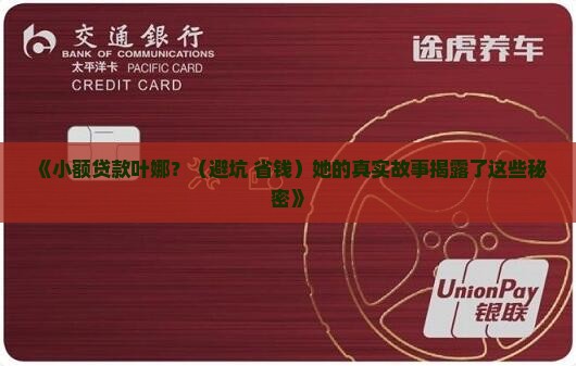 小额贷款叶娜