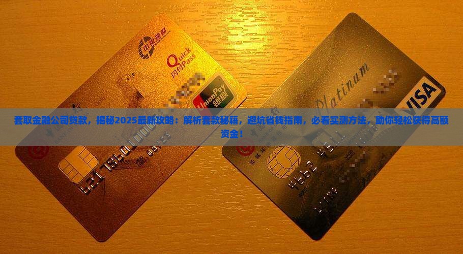 套取金融公司贷款