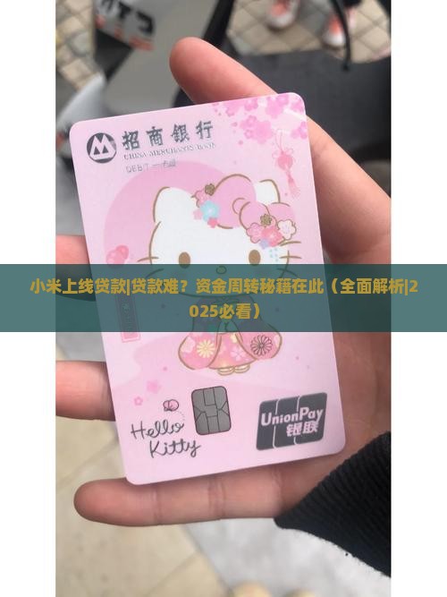 小米上线贷款