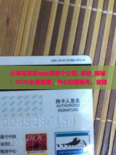 小黄花贷款app是哪个公司