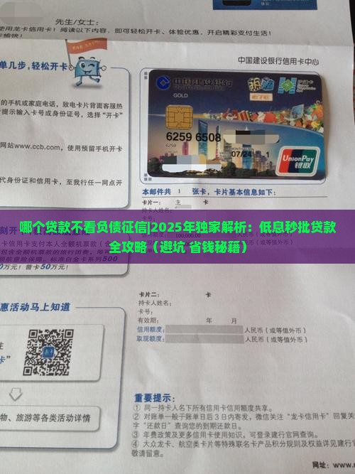 哪个贷款不看负债征信