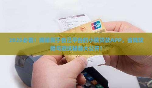 属于自己平台的小额贷款APP