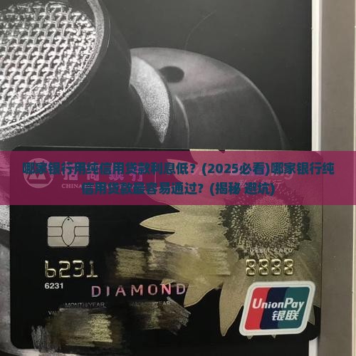 哪家银行用纯信用贷款