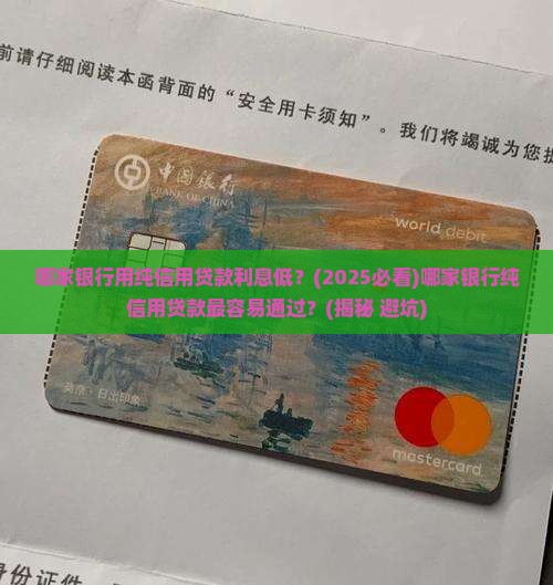 哪家银行用纯信用贷款