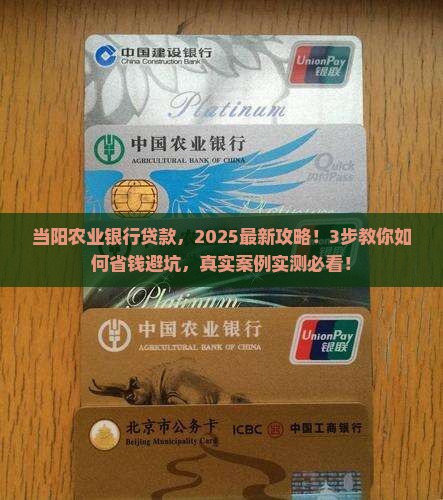 当阳农业银行贷款