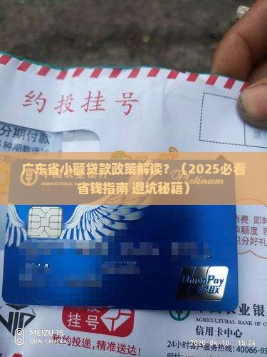 广东省小额贷款政策