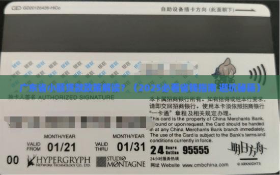 广东省小额贷款政策