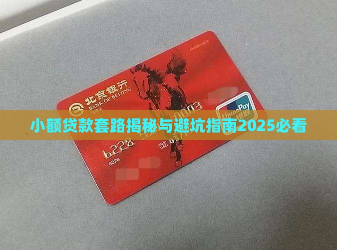 小额贷款怎么套