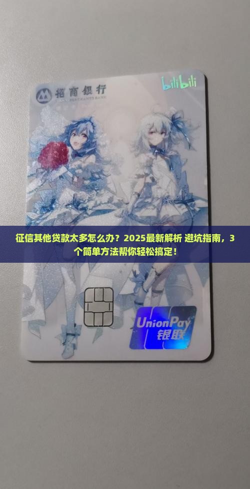 征信其他贷款太多