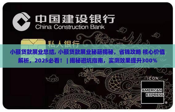 小额贷款展业总结