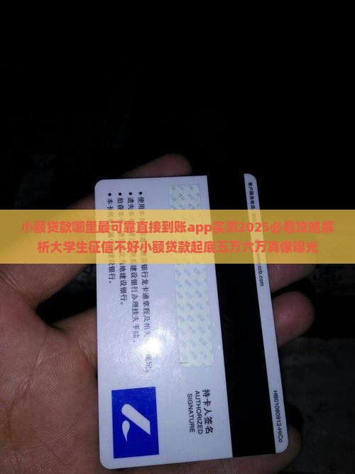 小额贷款哪里最可靠直接到账app