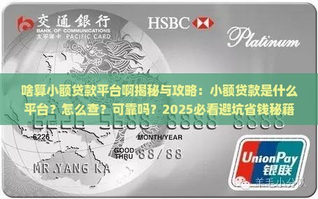 啥算小额贷款平台啊