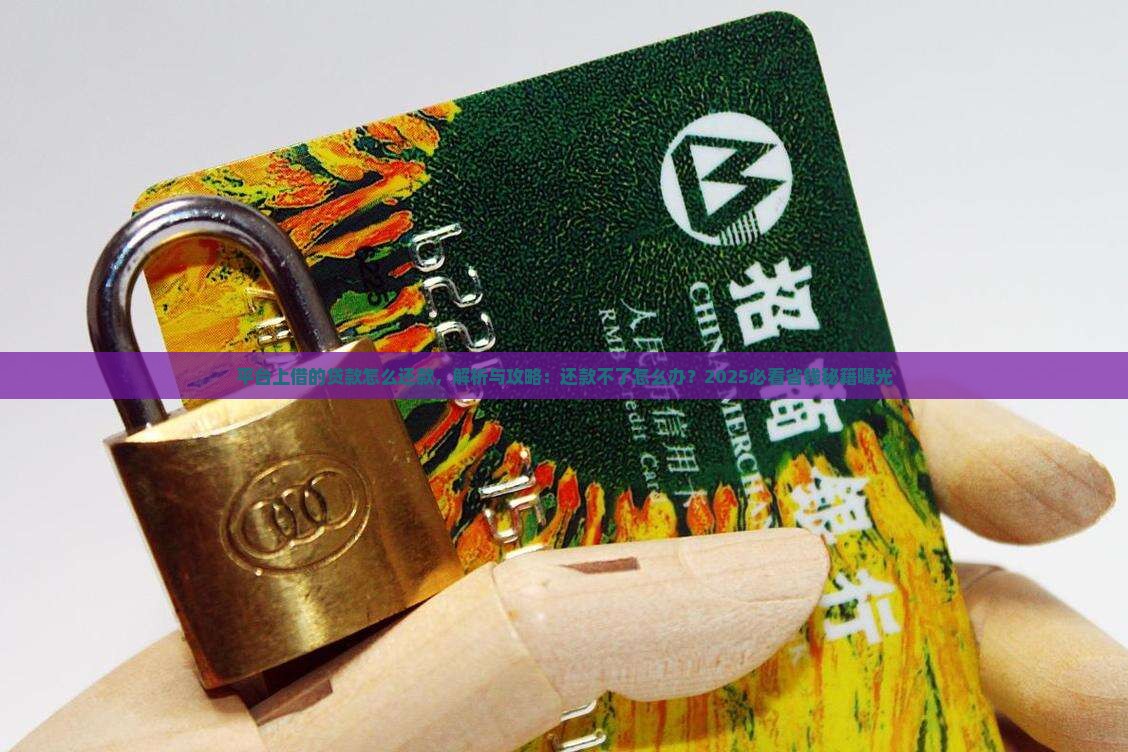 平台上借的贷款怎么还款