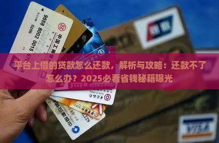 平台上借的贷款怎么还款
