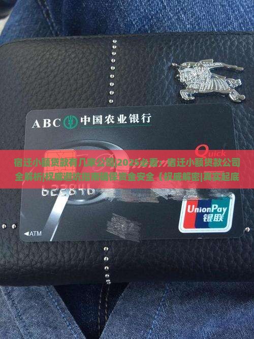 宿迁小额贷款有几家公司
