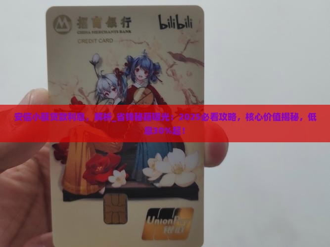 安信小额贷款利息