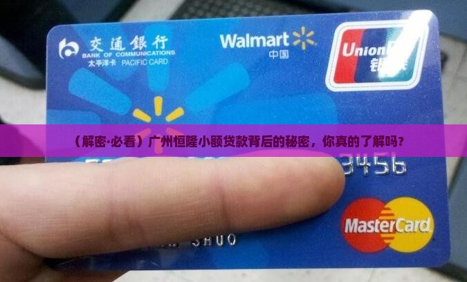 广州恒隆小额贷款