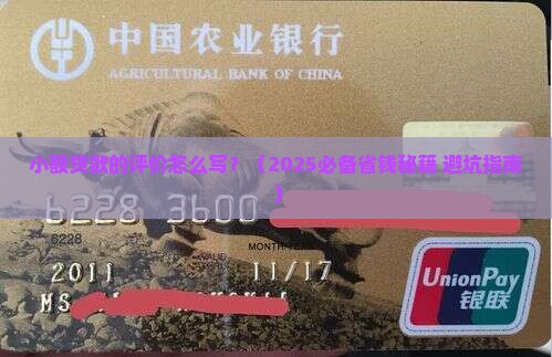 小额贷款的评价怎么写简短