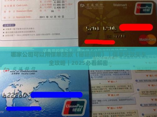 哪家公司可以用保单贷款