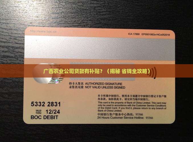 广西农业类型公司贷款有什么补贴