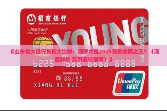 山东哪个银行贷款最多