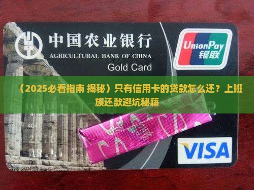 只有信用卡的贷款怎么还