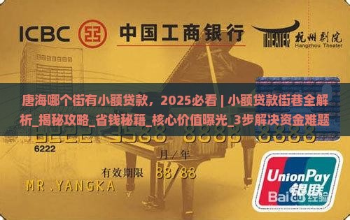 唐海哪个街有小额贷款