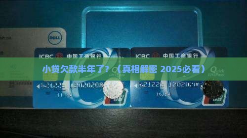 小贷公司贷款欠款半年了 小贷公司贷款欠款半年了
