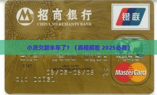 小贷公司贷款欠款半年了 小贷公司贷款欠款半年了