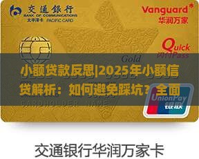 小额贷款反思