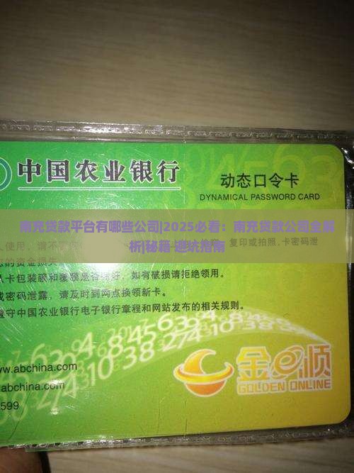 南充贷款平台有哪些公司