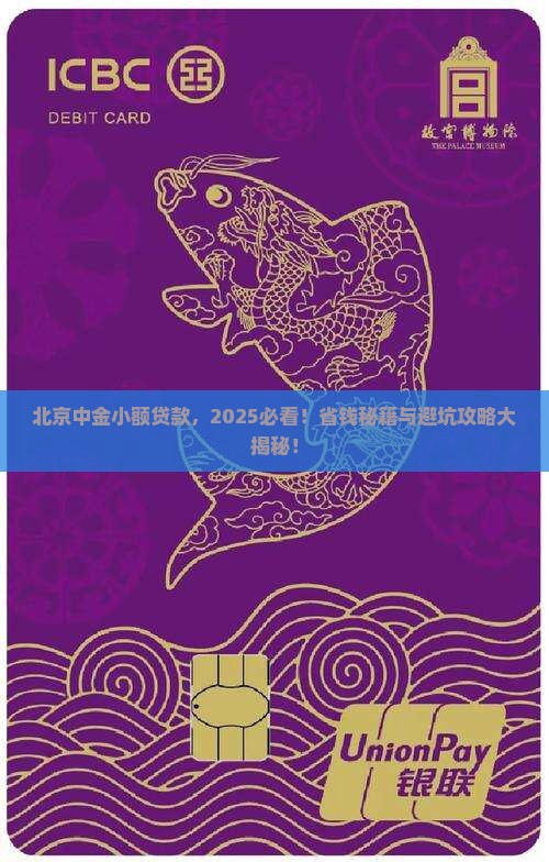 北京中金小额贷款