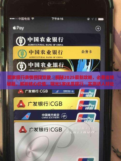 哪家银行亲情担保贷款