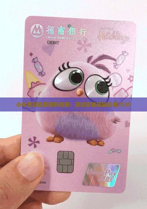 小米贷款怎么那么麻烦