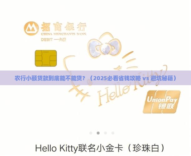 农行小额贷款能贷吗