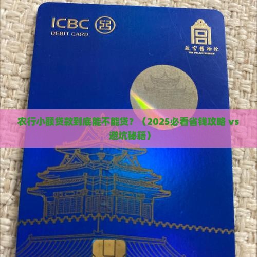 农行小额贷款能贷吗