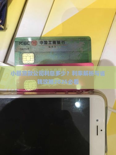 小额贷款机构利息