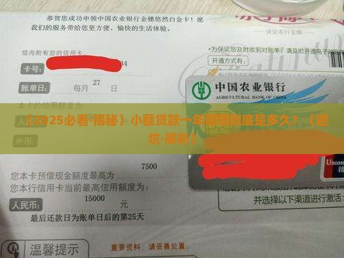小额贷款一年期限是多久