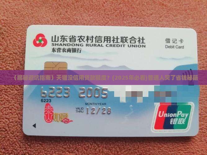 天猫没有信用贷款额度
