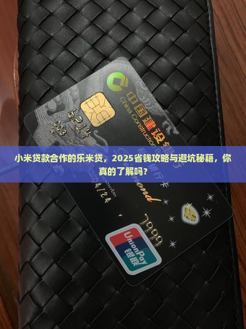 小米贷款合作的乐米贷