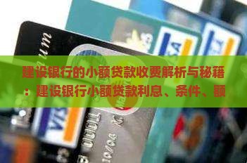 建设银行的小额贷款收费