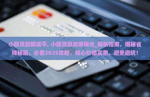 小额贷款郎咸平